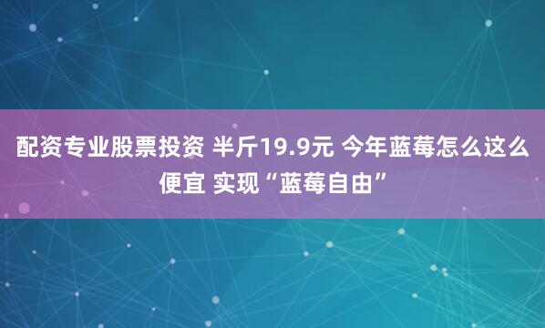配资专业股票投资 半斤19.9元 今年蓝莓怎么这么便宜 实现“蓝莓自由”